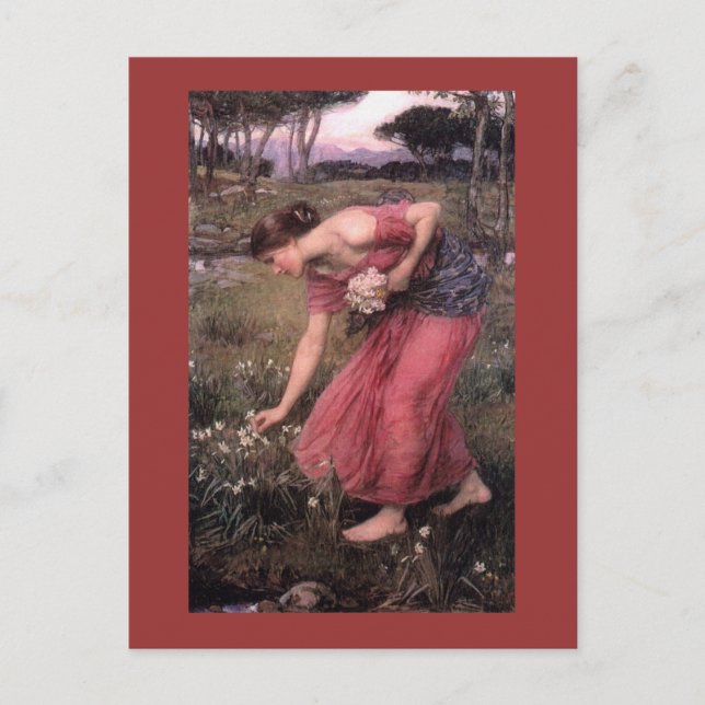 Carte Postale Fleurs de cueillette Narcissus dans le pré (Devant)