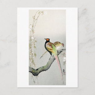 Carte Postale Fleurs de faisans et cerisiers - Ohara Koson -