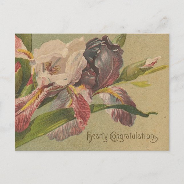 Carte Postale Fleurs de félicitations généreuses (Devant)