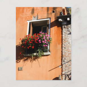 Carte Postale Fleurs de fenêtre