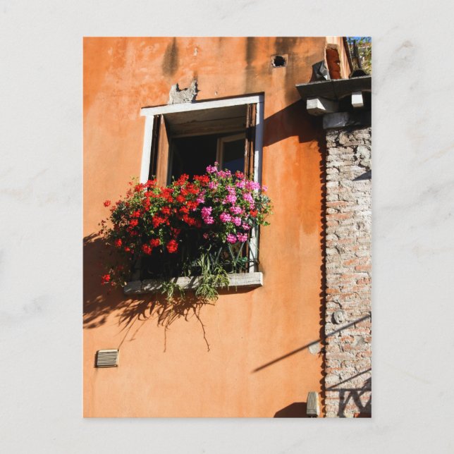 Carte Postale Fleurs de fenêtre (Devant)