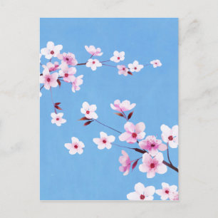 Carte Postale Fleurs de fleurs de cerisier bleu printemps