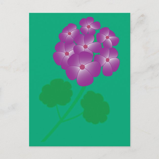 Carte Postale Fleurs de géranium (Devant)