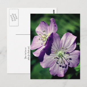 Carte Postale Fleurs de géranium lavande personnalisées