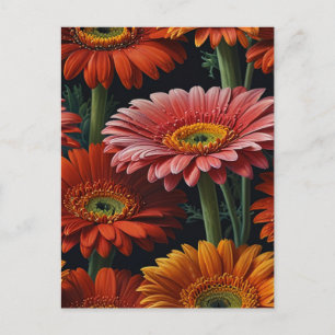 Carte Postale fleurs de gerbera