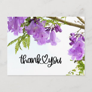 Carte Postale Fleurs de Jacaranda violettes Merci