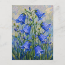 Fleurs de Jacinthes