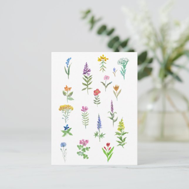 Carte Postale fleurs de jardin (Debout devant)