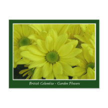 fleurs de jardin de la Colombie-Britannique