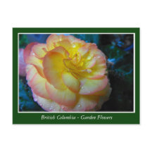 fleurs de jardin de la Colombie-Britannique
