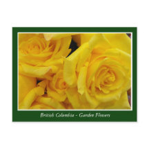fleurs de jardin de la Colombie-Britannique