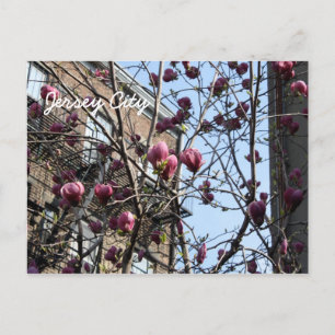 Carte Postale fleurs de Jersey