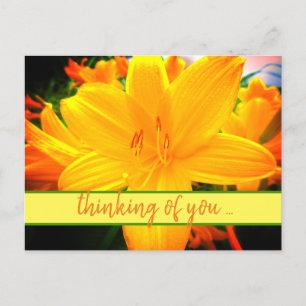 Carte Postale Fleurs de jour lis jaune orange pensées pour vous