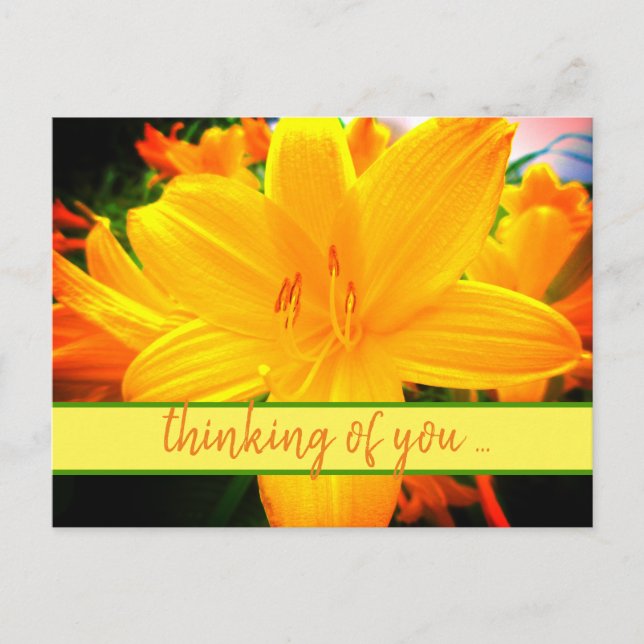 Carte Postale Fleurs de jour lis jaune orange pensées pour vous (Devant)