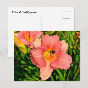 Carte Postale Fleurs de jour vibrantes