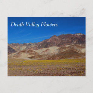 Carte postale Fleurs de la Vallée de la Mort