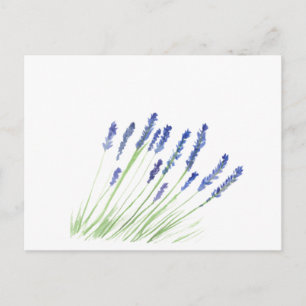 Carte Postale Fleurs de lavande Aquarelle florale violette
