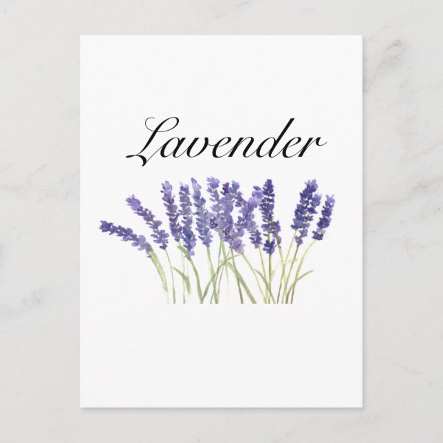Carte Postale Fleurs de lavande aquarelle herbes chic violet (Devant)