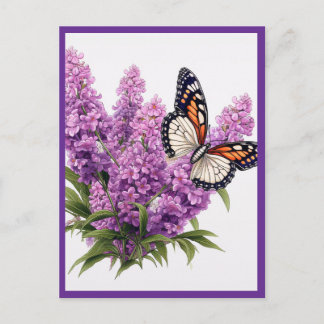 CARTE POSTALE FLEURS DE LAVANDE AVEC PAPILLON