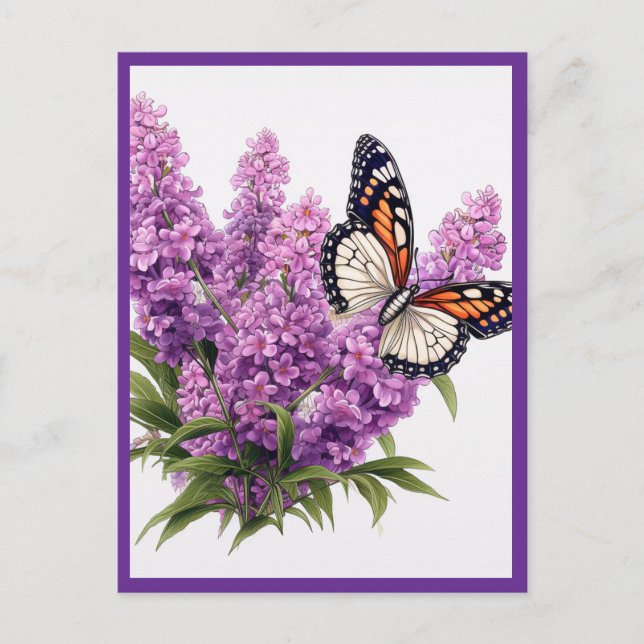 CARTE POSTALE FLEURS DE LAVANDE AVEC PAPILLON (Devant)