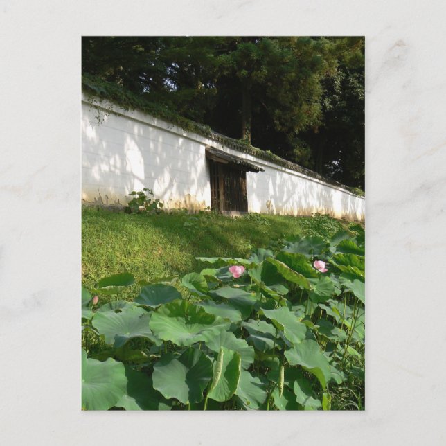 Carte Postale Fleurs de Lotus dans le Temple Moat (Devant)