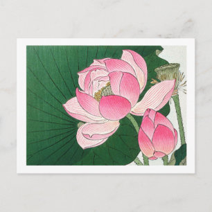 Carte Postale Fleurs de lotus en fleurs - Ohara Koson - agrandi