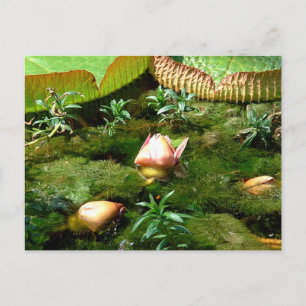 Carte Postale Fleurs de Lotus - Jardin Tropical, Nature au Print