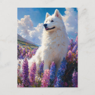 Carte Postale Fleurs de lupine violette de chien Samoyé