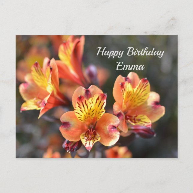 Carte Postale Fleurs de lys péruvien au jardin RHS Wisley (Devant)