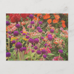 Carte Postale Fleurs de magasin d'alimentation