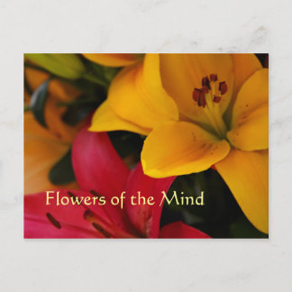 Carte Postale Fleurs de marché II