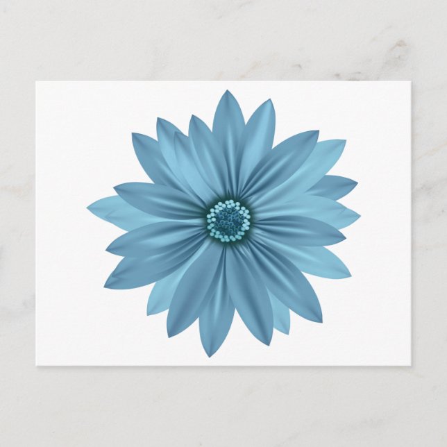 Carte Postale Fleurs de marguerites bleues florales (Devant)