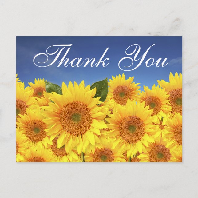 Carte Postale Fleurs de Merci Florales Fleurs de soleil Jaunes B (Devant)