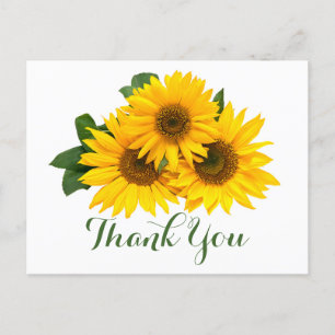 Carte Postale Fleurs de Merci Florales Fleurs de soleil Jaunes e