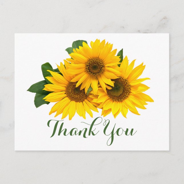 Carte Postale Fleurs de Merci Florales Fleurs de soleil Jaunes e (Devant)