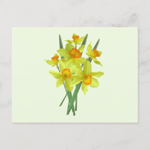 Carte Postale Fleurs de narcisse jaune