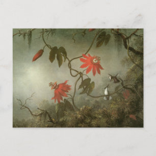 Carte Postale Fleurs de passion et colibris par Martin J Heade