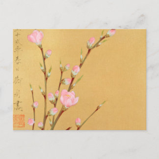 Carte Postale Fleurs de pêche