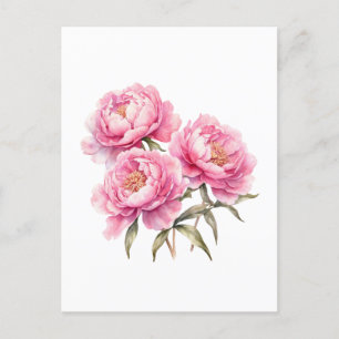 Carte Postale Fleurs de pivoine rose à l'aquarelle