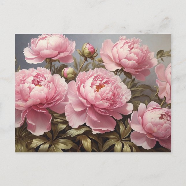 Carte Postale Fleurs de pivoines florissantes (Devant)