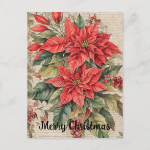 Carte Postale Fleurs de poinsettia de Noël vintage