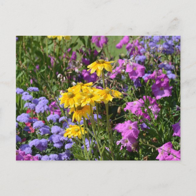 Carte Postale Fleurs de printemps (Devant)