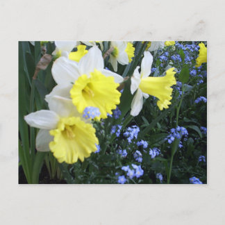 Carte postale Fleurs de printemps