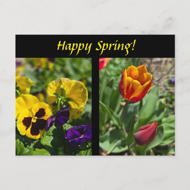 Carte Postale Fleurs de printemps (Devant)