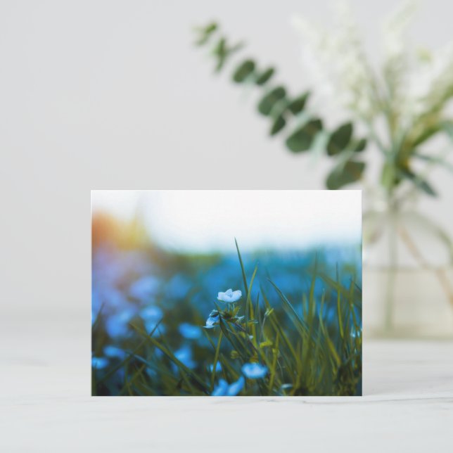 Carte Postale Fleurs de printemps dans le champ (Debout devant)
