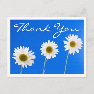Carte Postale Fleurs de remerciement Fleurs de marguerite blanch