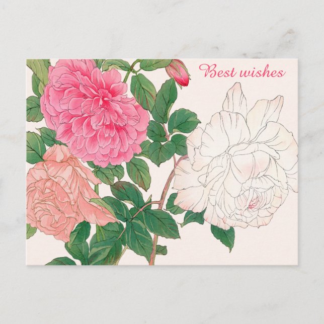 Carte Postale Fleurs de rose rose et blanc Feuilles vertes Meill (Devant)