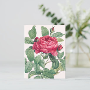 Carte Postale Fleurs de rose rouge avec feuilles vertes MERCI