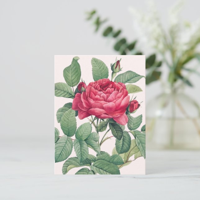 Carte Postale Fleurs de rose rouge avec feuilles vertes MERCI (Debout devant)
