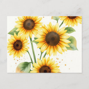 Carte Postale Fleurs de soleil aquarelle avec arêtes de crème